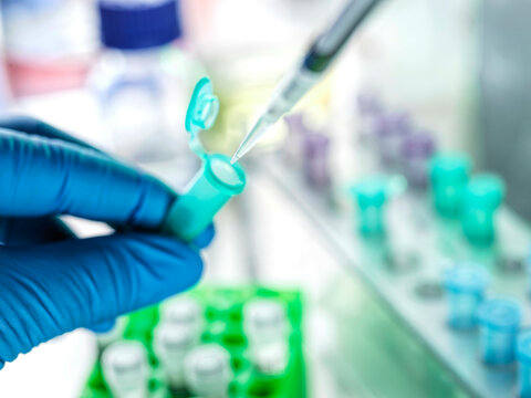[various]DNA testing, Scientist pipetting sample into a vial ready for analysis in the lab.