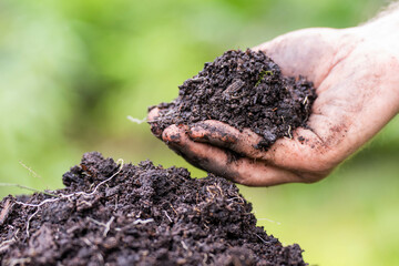 Holding soil in a hand, feeling compost in a field in Tasmania Australia.