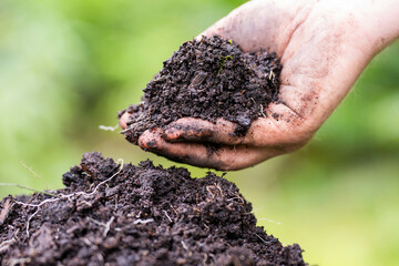 farmer holding soil taking a soil sample for a soil test in a field. Testing carbon sequestration...