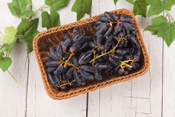 A deciduous broad-leaved vine tree of the grape family. The vines grow long and wrap around other things with their tendrils.
