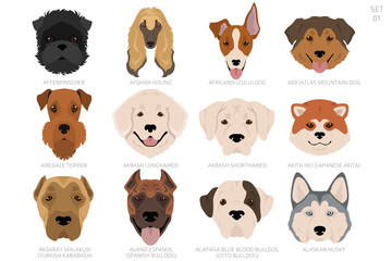 Dog head in alphabet order. All dog breeds. Colour vector design
