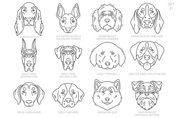 Dog head Silhouettes in alphabet order. All dog breeds. Simple line vector design.