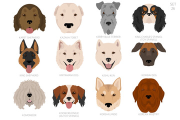 Dog head in alphabet order. All dog breeds. Colour vector design