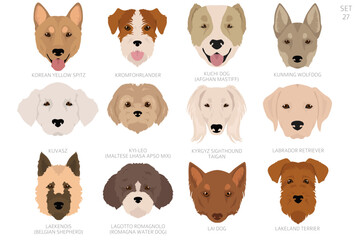 Dog head in alphabet order. All dog breeds. Colour vector design
