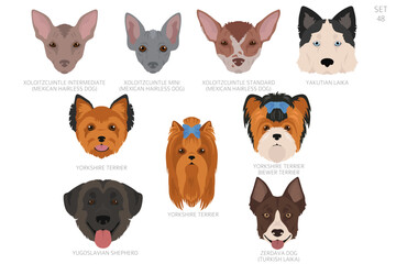 Fototapeta premium Dog head in alphabet order. All dog breeds. Colour vector design
