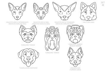 Dog head Silhouettes in alphabet order. All dog breeds. Simple line vector design