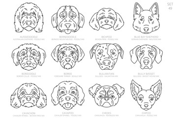 Designers Dog head Silhouettes in alphabet order. All dog mix breeds. Simple line vector design