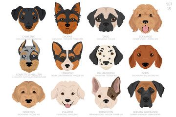 Fototapeta premium Designers Dog head in alphabet order. All dog mix breeds. Colour vector design