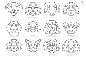 Designers Dog head Silhouettes in alphabet order. All dog mix breeds. Simple line vector design