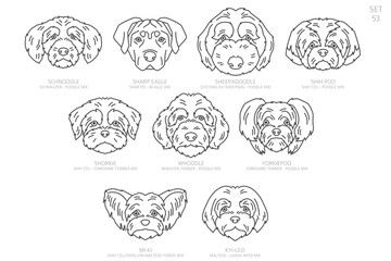 Designers Dog head Silhouettes in alphabet order. All dog mix breeds. Simple line vector design