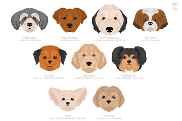 Designers Dog head in alphabet order. All dog mix breeds. Colour vector design
