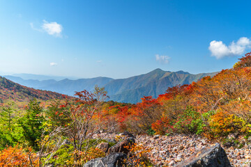 秋の那須岳（茶臼岳）　紅葉するカラフルな登山道を歩く【栃木県・那須塩原市】　
Mt. Nasu in autumn. Walk along colorful mountain trails with autumn leaves - Tochigi, Japan