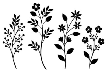 Black and white leaf and floral background