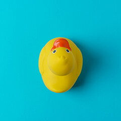 Yellow rubber duck on blue background. Summer minimal concept.