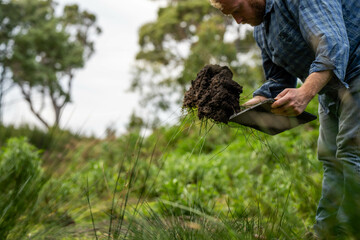 regenerative organic farmer, taking soil samples and looking at plant growth in a farm. practicing sustainable agriculture.