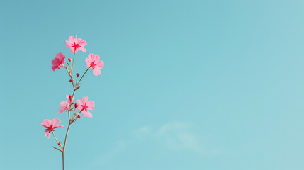 Naklejka premium Single pink flower against a clear blue sky on a sunny day