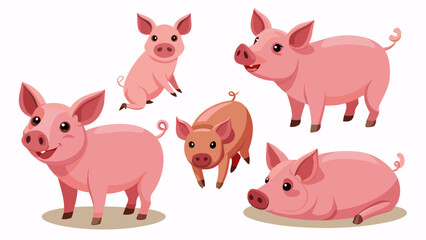 Set Of Pig In Different Pose, Collection Of Pig, Pig Set