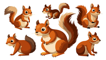 Fototapeta premium Set Of Squirrel In Different Pose, Collection Of Squirrel, Squirrel Set