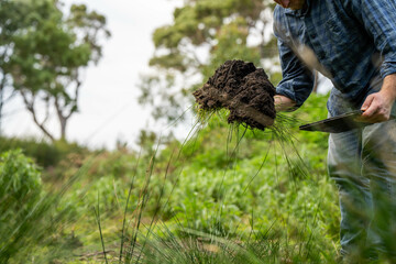 regenerative organic farmer, taking soil samples and looking at plant growth in a farm. practicing sustainable agriculture in australia