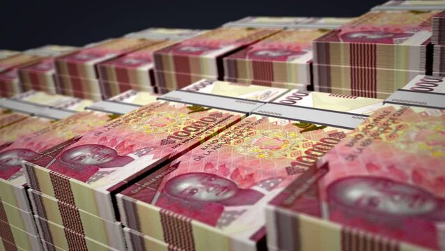 Guinea money Guinean francs banknote bundle growth up loop. GNF 10000 stacks. Concept of cash pack, banking, travel, business, economy and finance 3d loopable seamless.