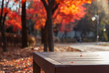 View of the wooden table against the maple trees in autumn