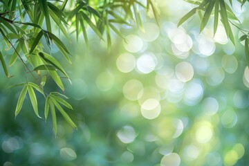 Obraz premium bamboo leaves with blurred bokeh background, health, and self-care concept