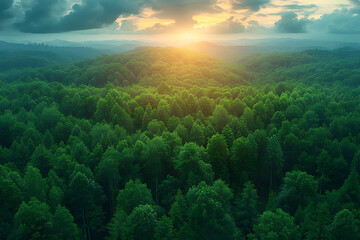 Fototapeta premium Awe-Inspiring Aerial View: Lush Green Forest & Mountain Range Preservation