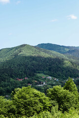 Fototapeta premium village in the Carpathian Mountains