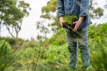 agronomist on a farm practicing agronomy holding soil, doing soil tests in her home laboratory....