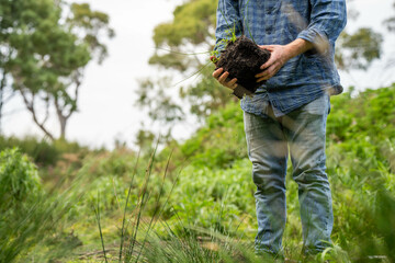 regenerative organic farmer, taking soil samples and looking at plant growth in a farm. practicing sustainable agriculture.