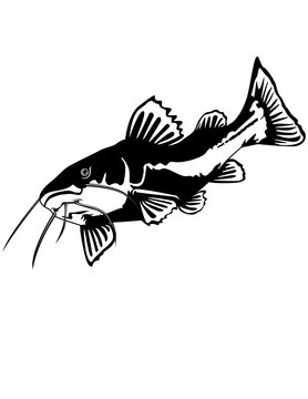 recommend clip art: Catfish | Fishing | Fish | Lake Fishing | Outdoor Fishing | Aquatic Animal | Fish Market | Fisherman | Original Illustration | Vector and Clipart | Cutfile and Stencil