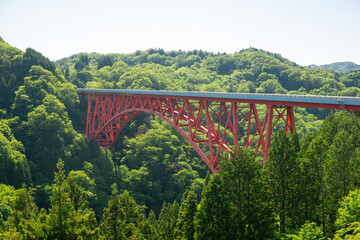 Fototapeta premium 5月のオロチループ橋