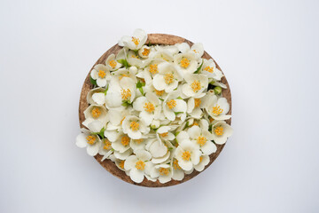 Jasmine flowers in wooden bowl isolated on white background. Top view. Flat lay.