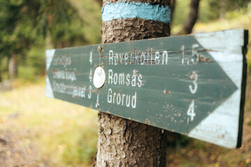 A wooden sign hanging on a tree in a Norwegian forest, with directions to different walking paths to different locations