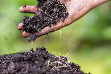 farmer hold soil in hands monitoring soil health on a farm.in australia