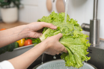 Close up asian young woman washing hydroponic green oak lettuce, fresh vegetables with splash water...