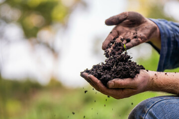 farmer hold soil in hands monitoring soil health on a farm.in australia