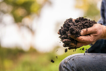 farmer wearing blue shirt and jeans, farmer holding soil, doing soil tests in a home laboratory. Looking at soil life and health