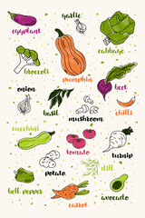 A vibrant vector featuring various vegetables and herbs, each labeled with its name and drawn in a stylized, whimsical manner, set against a background of scattered greens.