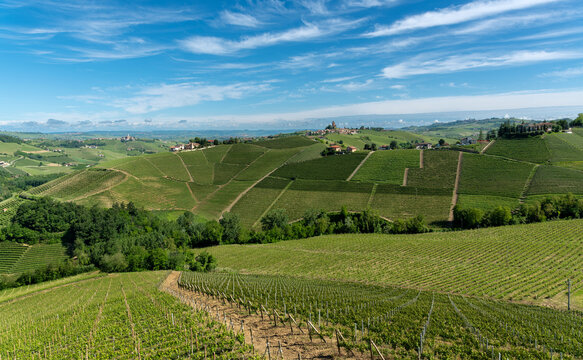 Landscape of the hills with vineyards around Serralunga di Alba in the UNESCO World Heritage Langhe, Italy, a typical Barolo wine area