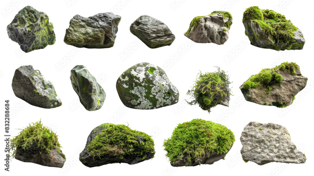 Wall mural moss-covered rocks , set