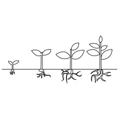 
Plant growth tree continuous one line drawing  outline vector illustration


