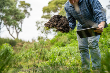 regenerative organic farmer, taking soil samples and looking at plant growth in a farm. practicing sustainable agriculture.