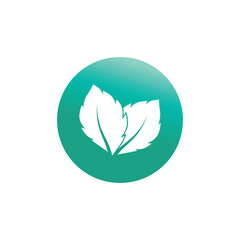 Mint leaf logo vector element template and symbol