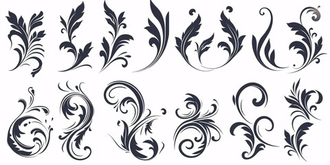 Collection of decorative, curvy calligraphy patterns. Graceful classic minimalistic motifs. Artwork.