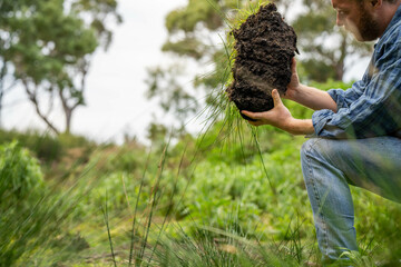 regenerative organic farmer, taking soil samples and looking at plant growth in a farm. practicing sustainable agriculture.