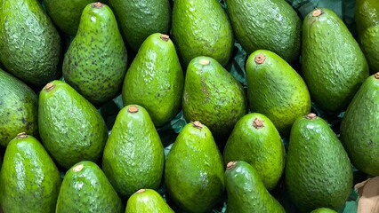 Avocado in the fruit shop