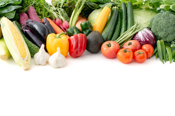 色々な野菜　集合