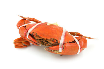 steamed crab on a white background