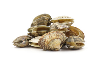 Closed up fresh baby clams, venus shell, shellfish, carpet clams, short necked clams, as raw food from the sea are the seafood ingredients. fresh clams Background.